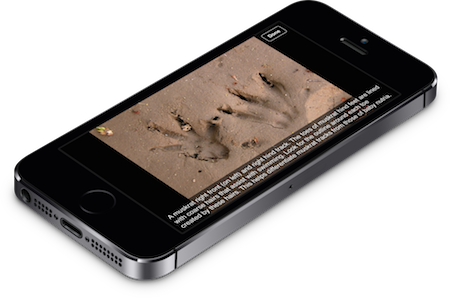 Screenshot-8