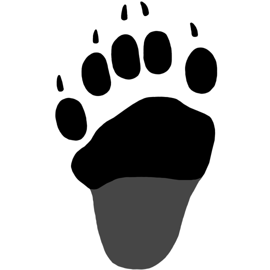 Black Bear Track (Right Hind)
