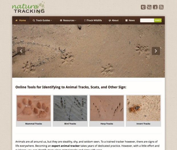 New Tracking Website