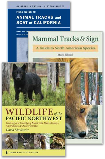 NatureTracking – Tools for Identifying Animal Tracks, Photos of Animal ...