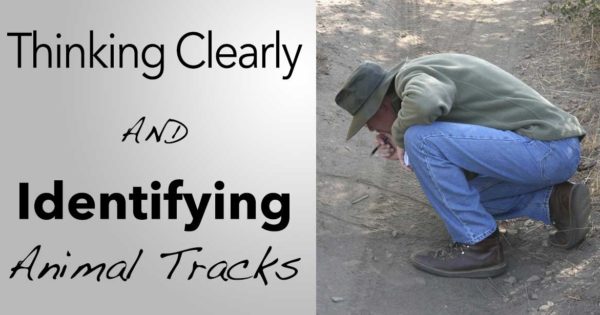 Thinking-Clearly-&-Track-ID Thinking-Clearly-&-Track-ID