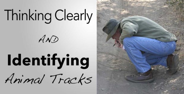 Thinking Clearly and Identifying Animal Tracks
