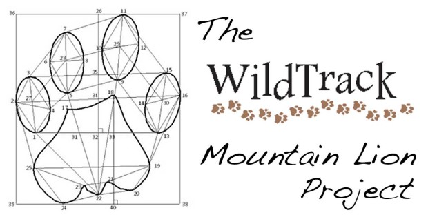 Identifying Individual Mountain Lions from Footprints