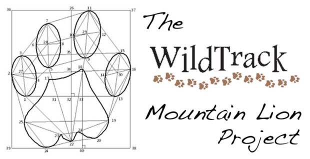 WildTrack Mountain Lion Project