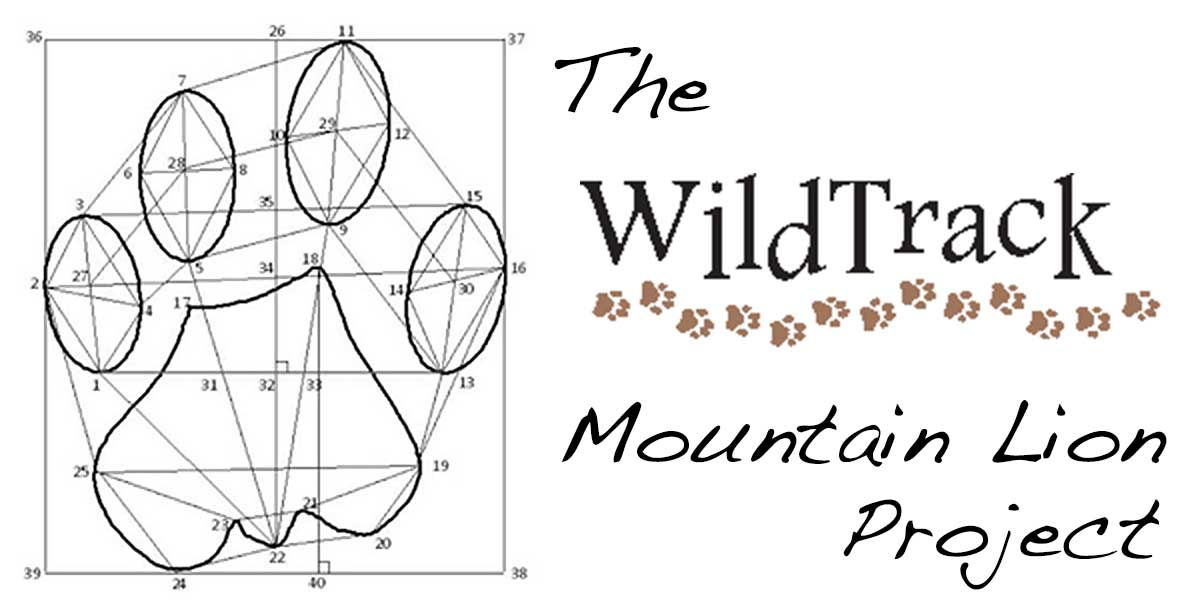WildTrack-Measurements1