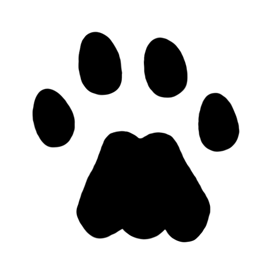 Mountain Lion Track (Right Hind)