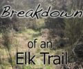 Breaking Down an Elk Trail
