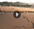 Intro to Animal Tracking Webinar