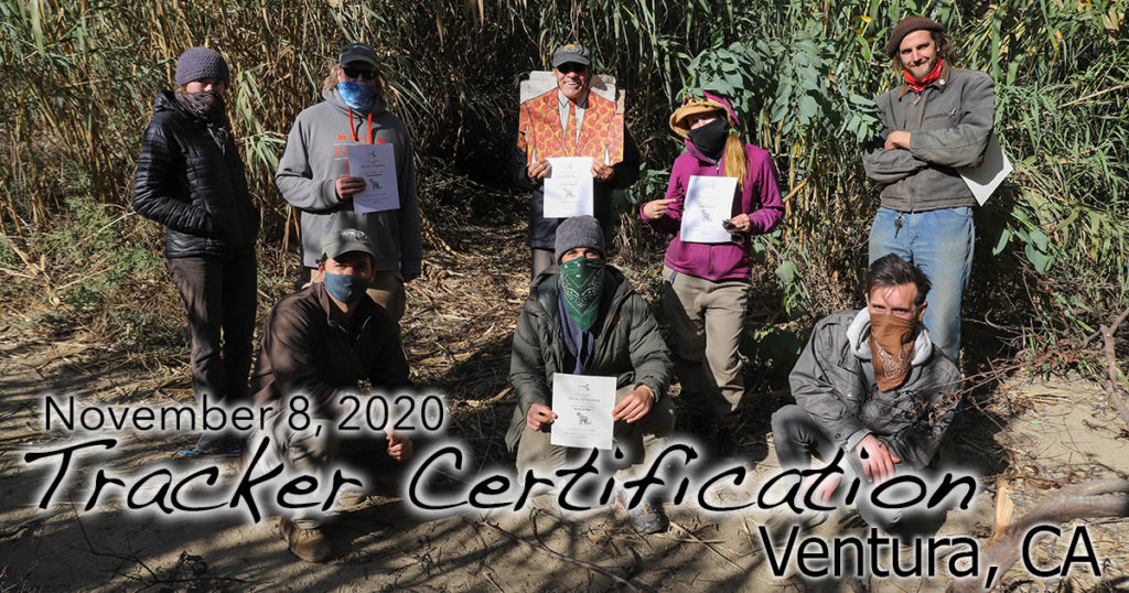 Ventura Tracker Certification 11/8/2020