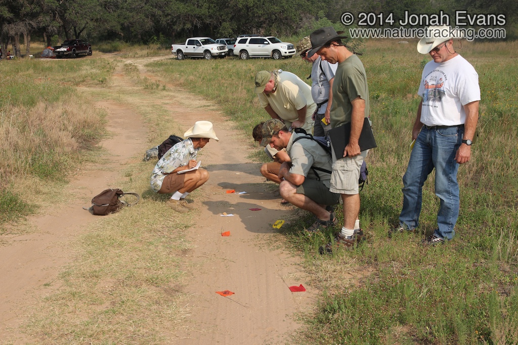 Central Texas Certification 06/10/2012