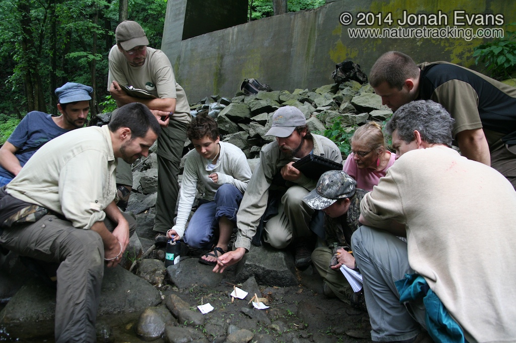 New England Tracker Certifications 06/2008